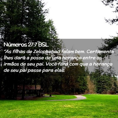 Picture 02 - Números 27:7 BSL - “As filhas de Zelophehad falam bem. Certamente - Bible Verse Picture