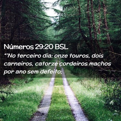 Picture 02 - Números 29:20 BSL - “'No terceiro dia: onze touros, dois carneiros, - Bible Verse Picture