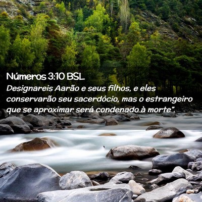 Picture 02 - Números 3:10 BSL - Designareis Aarão e seus filhos, e eles - Bible Verse Picture