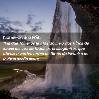 Picture 02 - Números 3:12 BSL - “Eis que tomei os levitas do meio dos filhos de - Bible Verse Picture