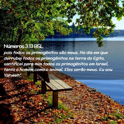 Picture 02 - Números 3:13 BSL - pois todos os primogênitos são meus. No dia em - Bible Verse Picture