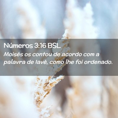 Picture 02 - Números 3:16 BSL - Moisés os contou de acordo com a palavra de - Bible Verse Picture