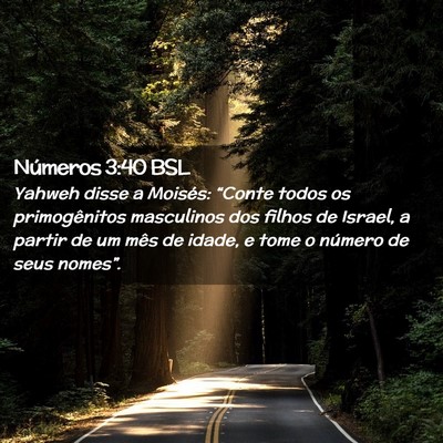 Picture 02 - Números 3:40 BSL - Yahweh disse a Moisés: “Conte todos os - Bible Verse Picture