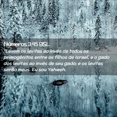 Picture 02 - Números 3:45 BSL - “Levem os levitas ao invés de todos os - Bible Verse Picture