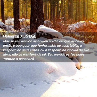 Picture 02 - Números 30:12 BSL - Mas se seu marido os anulou no dia em que os - Bible Verse Picture