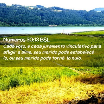 Picture 02 - Números 30:13 BSL - Cada voto, e cada juramento vinculativo para - Bible Verse Picture