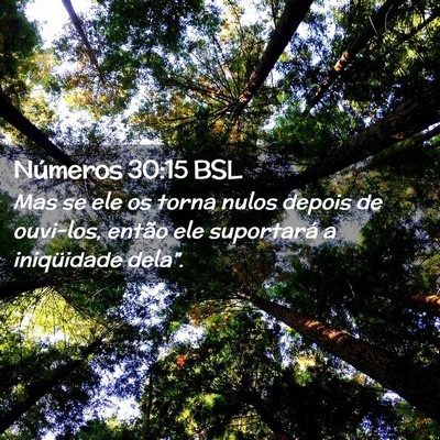 Picture 02 - Números 30:15 BSL - Mas se ele os torna nulos depois de ouvi-los, - Bible Verse Picture