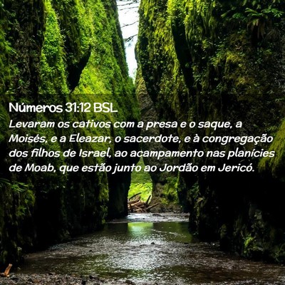 Picture 02 - Números 31:12 BSL - Levaram os cativos com a presa e o saque, a - Bible Verse Picture