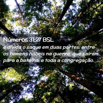Picture 02 - Números 31:27 BSL - e divida o saque em duas partes: entre os homens - Bible Verse Picture