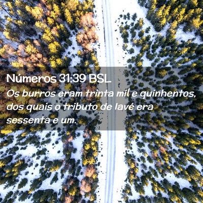 Picture 02 - Números 31:39 BSL - Os burros eram trinta mil e quinhentos, dos quais - Bible Verse Picture