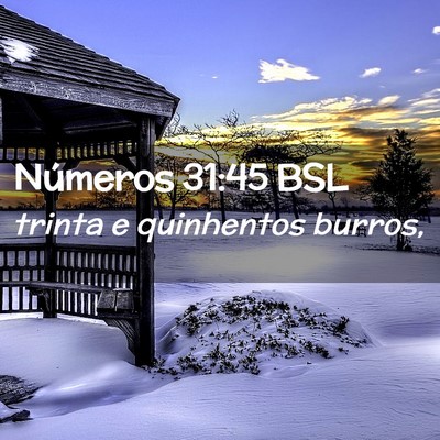 Picture 02 - Números 31:45 BSL - trinta e quinhentos - Bible Verse Picture