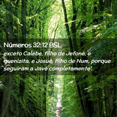 Picture 02 - Números 32:12 BSL - exceto Calebe, filho de Jefoné, o quenizita, e - Bible Verse Picture