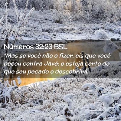 Picture 02 - Números 32:23 BSL - “Mas se você não o fizer, eis que você pecou - Bible Verse Picture