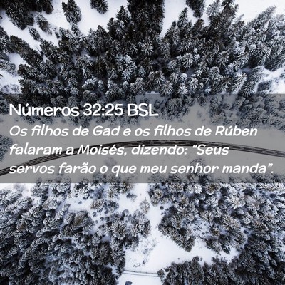 Picture 02 - Números 32:25 BSL - Os filhos de Gad e os filhos de Rúben falaram a - Bible Verse Picture