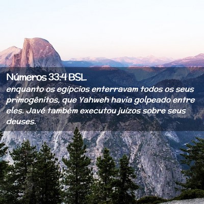 Picture 02 - Números 33:4 BSL - enquanto os egípcios enterravam todos os seus - Bible Verse Picture