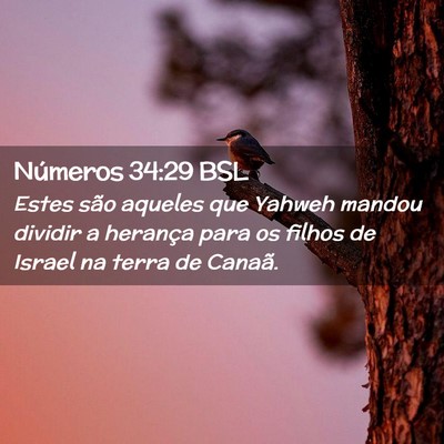 Picture 02 - Números 34:29 BSL - Estes são aqueles que Yahweh mandou dividir a - Bible Verse Picture