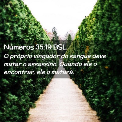 Picture 02 - Números 35:19 BSL - O próprio vingador do sangue deve matar o - Bible Verse Picture