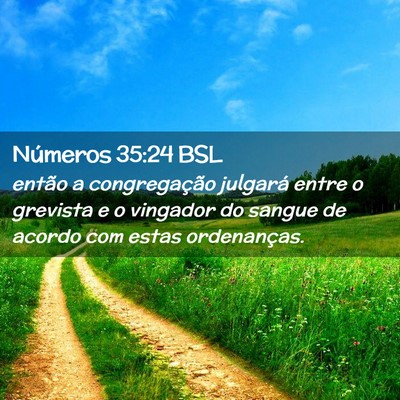 Picture 02 - Números 35:24 BSL - então a congregação julgará entre o grevista - Bible Verse Picture