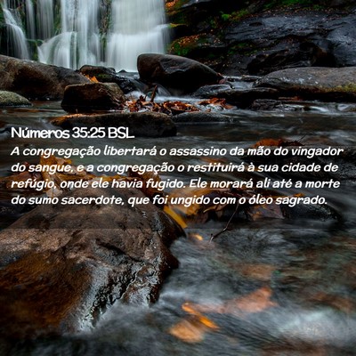 Picture 02 - Números 35:25 BSL - A congregação libertará o assassino da mão do - Bible Verse Picture