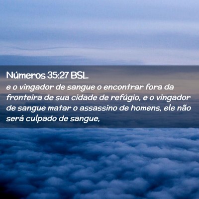 Picture 02 - Números 35:27 BSL - e o vingador de sangue o encontrar fora da - Bible Verse Picture