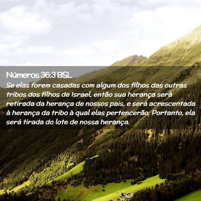 Picture 02 - Números 36:3 BSL - Se elas forem casadas com algum dos filhos das - Bible Verse Picture