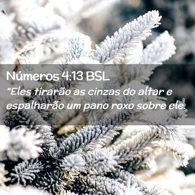 Picture 02 - Números 4:13 BSL - “Eles tirarão as cinzas do altar e espalharão - Bible Verse Picture