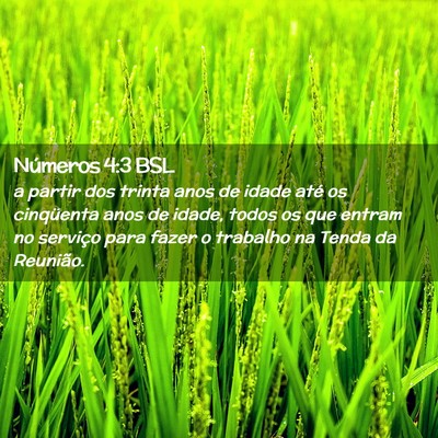 Picture 02 - Números 4:3 BSL - a partir dos trinta anos de idade até os - Bible Verse Picture