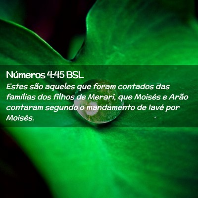 Picture 02 - Números 4:45 BSL - Estes são aqueles que foram contados das - Bible Verse Picture
