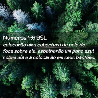 Picture 02 - Números 4:6 BSL - colocarão uma cobertura de pele de foca sobre - Bible Verse Picture