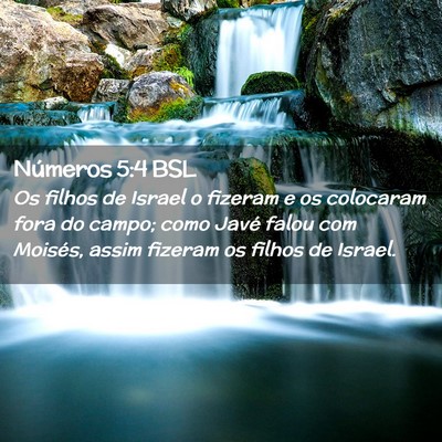 Picture 02 - Números 5:4 BSL - Os filhos de Israel o fizeram e os colocaram fora - Bible Verse Picture
