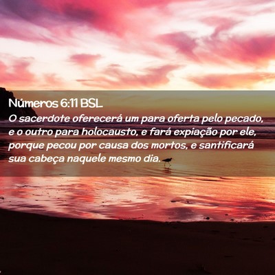 Picture 02 - Números 6:11 BSL - O sacerdote oferecerá um para oferta pelo - Bible Verse Picture