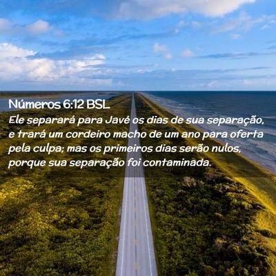 Picture 02 - Números 6:12 BSL - Ele separará para Javé os dias de sua - Bible Verse Picture