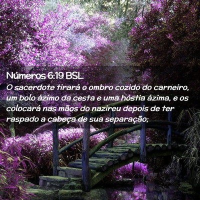 Picture 02 - Números 6:19 BSL - O sacerdote tirará o ombro cozido do carneiro, - Bible Verse Picture