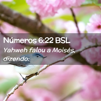 Picture 02 - Números 6:22 BSL - Yahweh falou a Moisés, - Bible Verse Picture