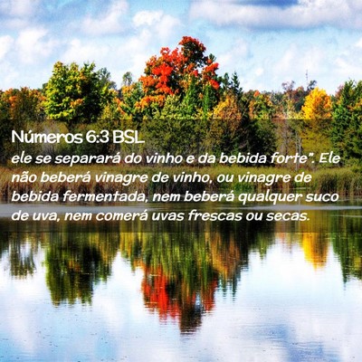 Picture 02 - Números 6:3 BSL - ele se separará do vinho e da bebida forte”. - Bible Verse Picture