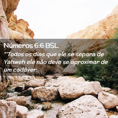 Picture 02 - Números 6:6 BSL - “'Todos os dias que ele se separa de Yahweh ele - Bible Verse Picture