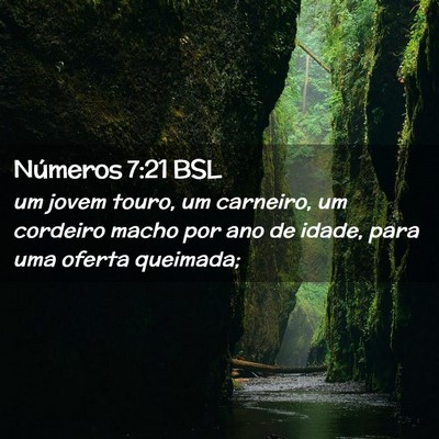 Picture 02 - Números 7:21 BSL - um jovem touro, um carneiro, um cordeiro macho - Bible Verse Picture