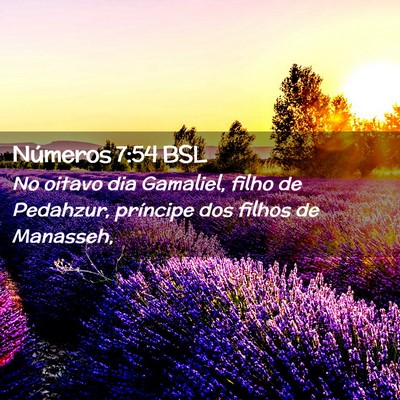 Picture 02 - Números 7:54 BSL - No oitavo dia Gamaliel, filho de Pedahzur, - Bible Verse Picture