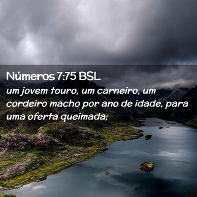 Picture 02 - Números 7:75 BSL - um jovem touro, um carneiro, um cordeiro macho - Bible Verse Picture