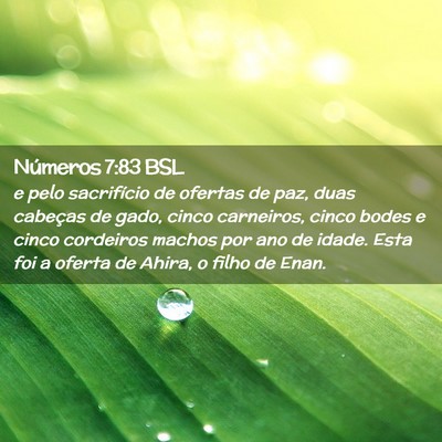 Picture 02 - Números 7:83 BSL - e pelo sacrifício de ofertas de paz, duas - Bible Verse Picture