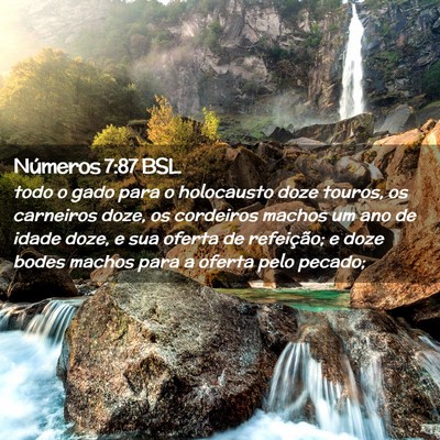Picture 02 - Números 7:87 BSL - todo o gado para o holocausto doze touros, os - Bible Verse Picture