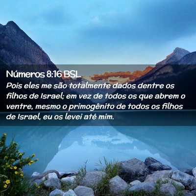 Picture 02 - Números 8:16 BSL - Pois eles me são totalmente dados dentre os - Bible Verse Picture