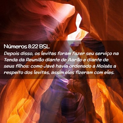 Picture 02 - Números 8:22 BSL - Depois disso, os levitas foram fazer seu serviço - Bible Verse Picture