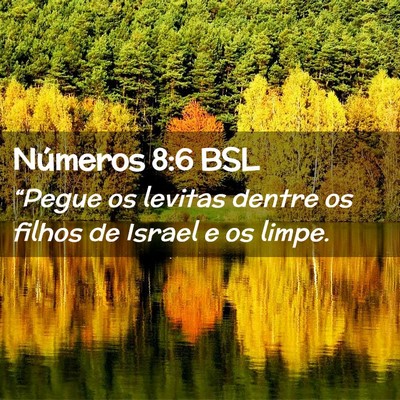 Picture 02 - Números 8:6 BSL - “Pegue os levitas dentre os filhos de Israel e - Bible Verse Picture