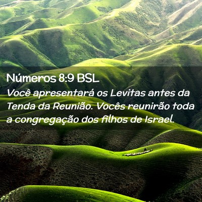 Picture 02 - Números 8:9 BSL - Você apresentará os Levitas antes da Tenda da - Bible Verse Picture