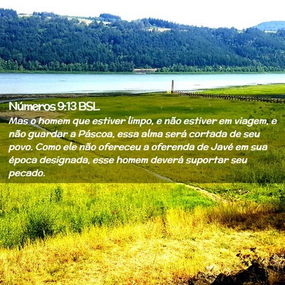 Picture 02 - Números 9:13 BSL - Mas o homem que estiver limpo, e não estiver em - Bible Verse Picture
