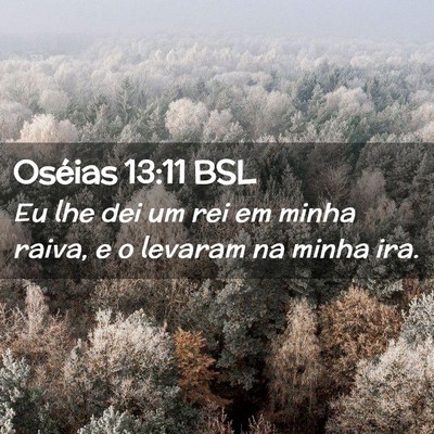 Picture 02 - Oséias 13:11 BSL - Eu lhe dei um rei em minha raiva, e o levaram na - Bible Verse Picture