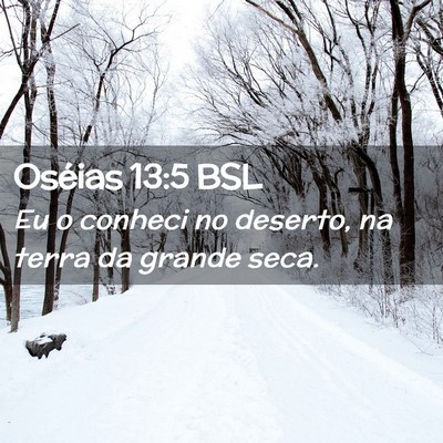 Picture 02 - Oséias 13:5 BSL - Eu o conheci no deserto, na terra da grande - Bible Verse Picture