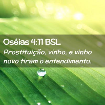 Picture 02 - Oséias 4:11 BSL - Prostituição, vinho, e vinho novo tiram o - Bible Verse Picture