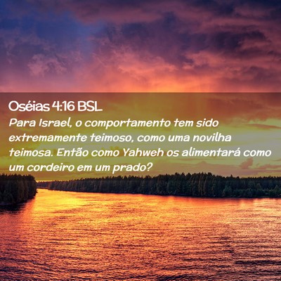 Picture 02 - Oséias 4:16 BSL - Para Israel, o comportamento tem sido - Bible Verse Picture